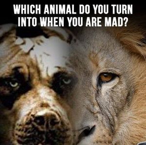 Meet your Posher, John paul